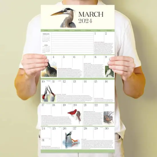 TF Publishing 2024 What It's Like To Be A Bird Wall Calendar {6}
