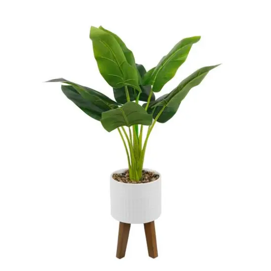 Flora Bunda&reg; 2.5ft. Traveler's Palm in Roman Ceramic Pot on Stand {1}