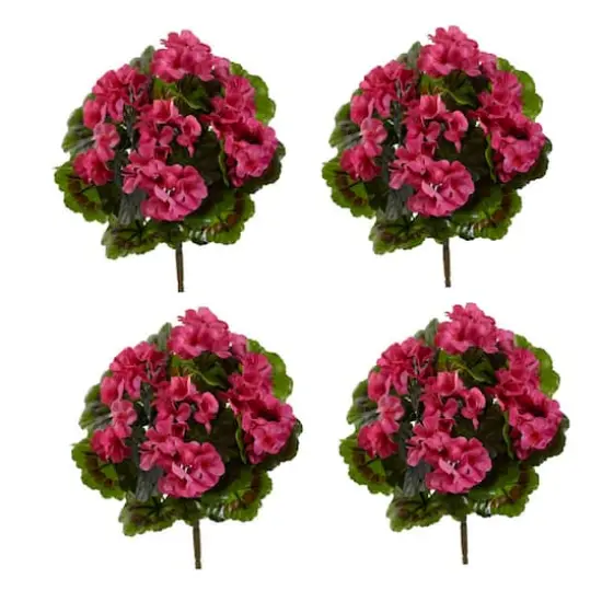 Pink Geranium Bush, 4ct.  {4}