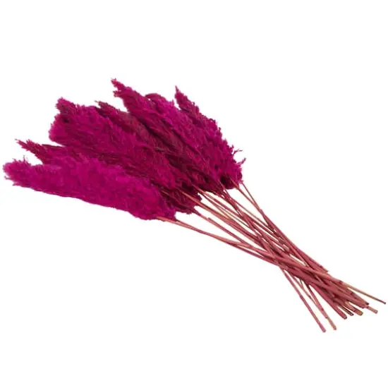 Dried Plant Pampas Natural Foliage with Long Stems Pink {4}