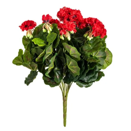 Red Geranium Bush {1}