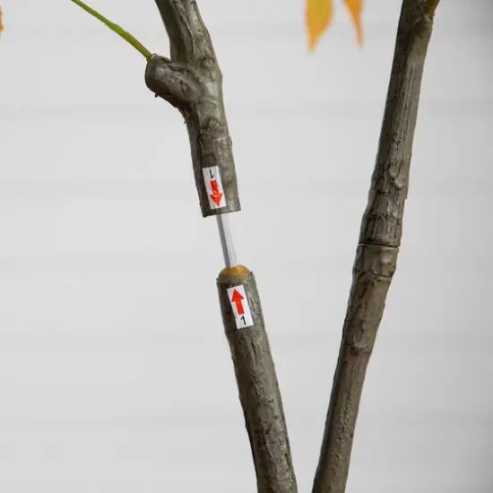 5ft. Yellow Autumn Maple Artificial Potted Tree {6}