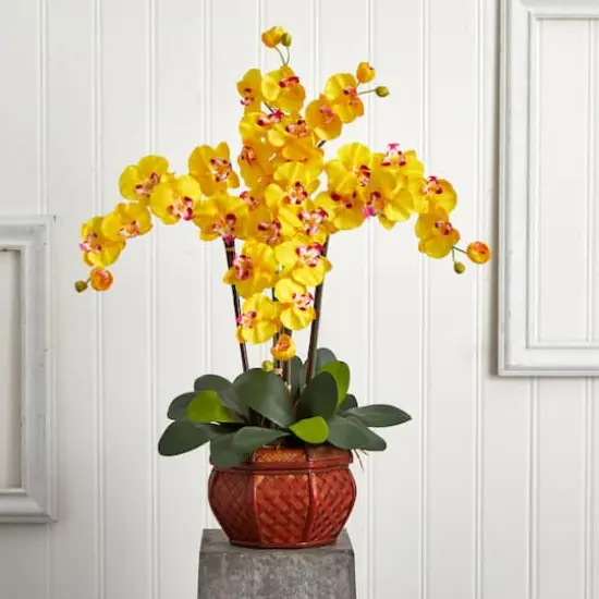 2.5ft. Yellow Moth Orchid Arrangement with Decorative Vase {4}