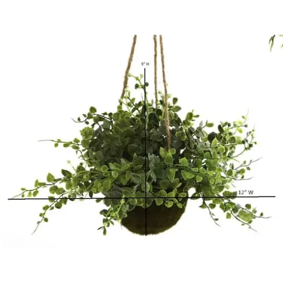 9'' Eucalyptus, Maiden Hair & Berry Hanging Basket, 3ct. {3}