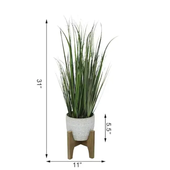 Flora Bunda&reg; 31" Onion Grass In 6.6" Catheral Ceramic Pot On Stand {3}
