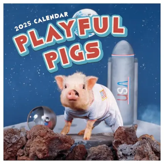 TF Publishing 2025 Playful Pigs Wall Calendar {1}