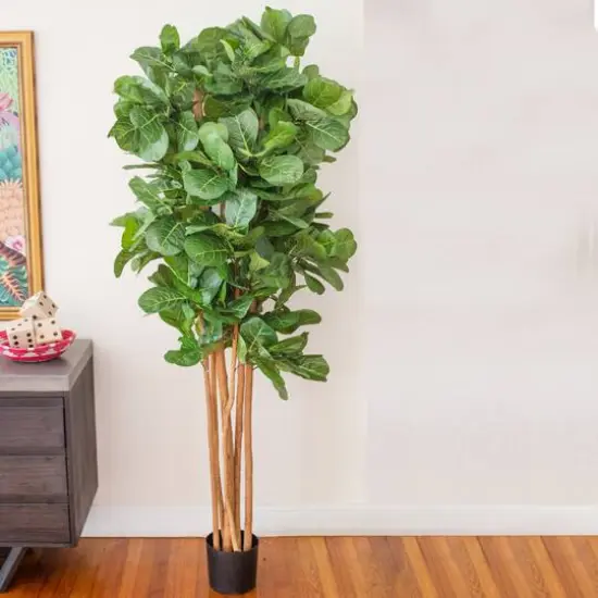 7ft. Potted Fiddle Leaf Fig Tree {8}