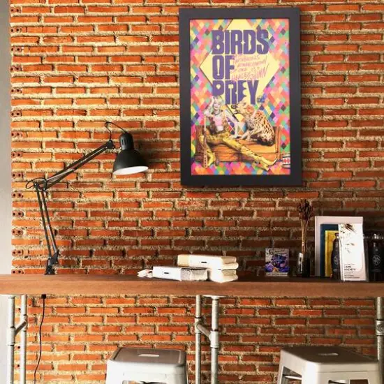 DC Comics&trade; Birds of Prey Harley Quinn Framed Wall Art {3}