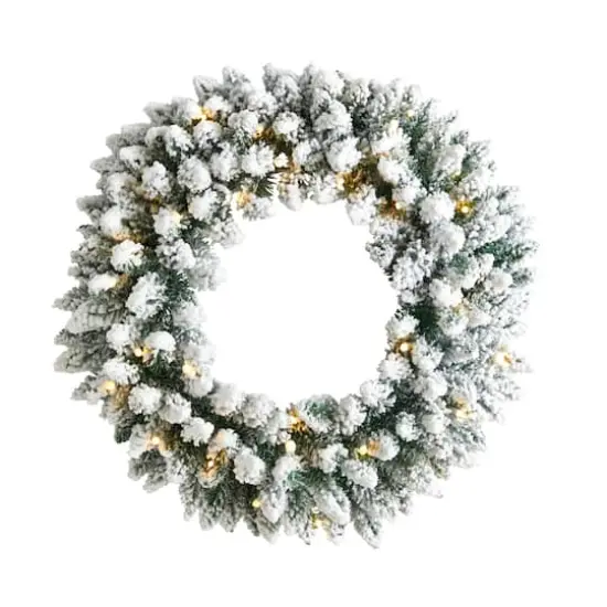 24" White LED Lights Flocked Artificial Christmas Wreath {1}
