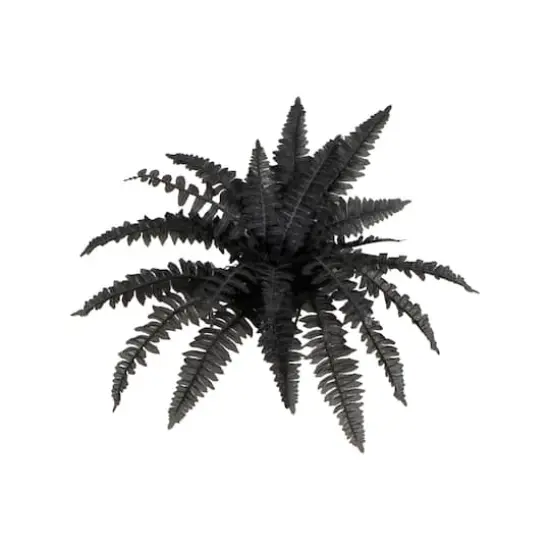 19in. Artificial Halloween Black Boston Fern - Set of 6 {6}