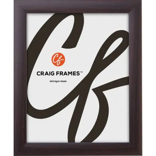 2 Pack Craig Frames Contemporary Brazilian Walnut Picture Frame {3}