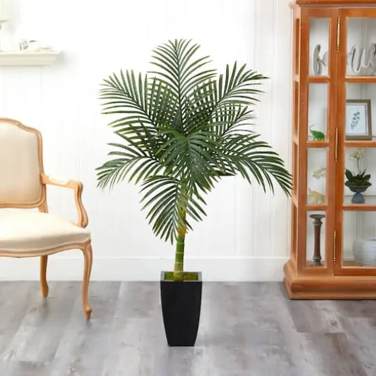 4.5ft. Golden Cane Palm Tree in Black Metal Planter {4}