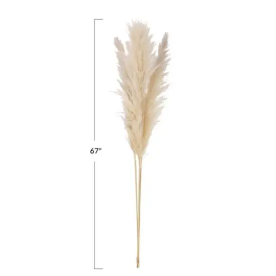 Hello Honey&reg; 5.5ft. Natural Dried Pampas Grass Bunch {4}