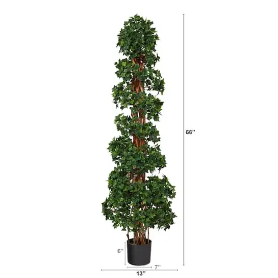 5.5ft. Potted English Ivy Spiral Topiary Tree {3}
