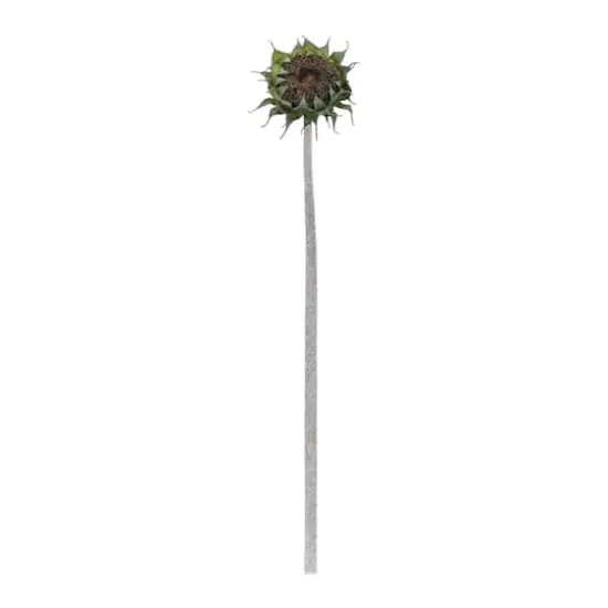 23.75" Brown Sunflower Stem, 6ct. {4}
