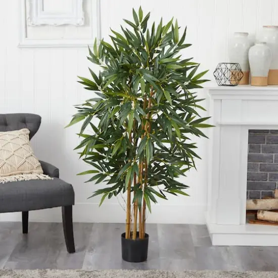 4ft. Potted Biggy Bamboo Tree {5}