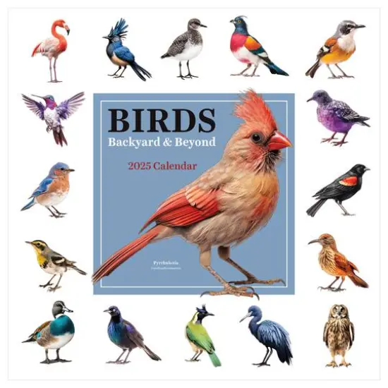 TF Publishing 2025 Birds: Backyard & Beyond Wall Calendar {1}