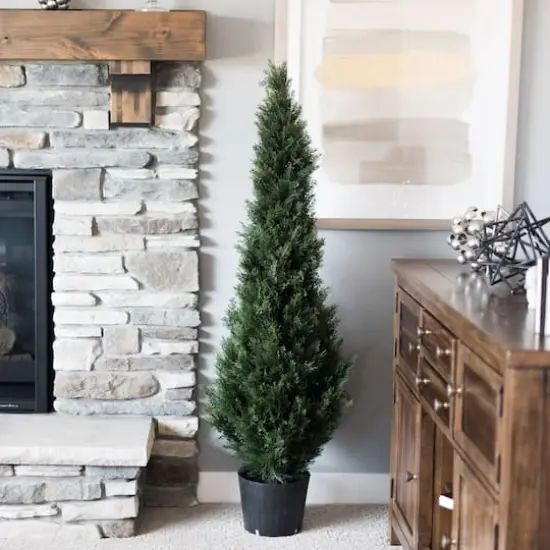 4ft. Potted Green Cedar Tree {3}
