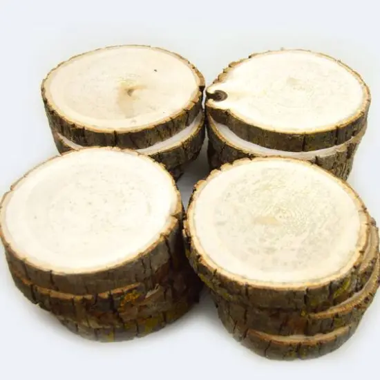 Wilson&reg; Enterprises 16 Pack Natural Basswood Round {1}