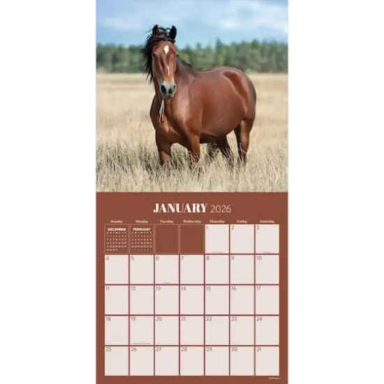2026 Horses Wall Calendar {3}