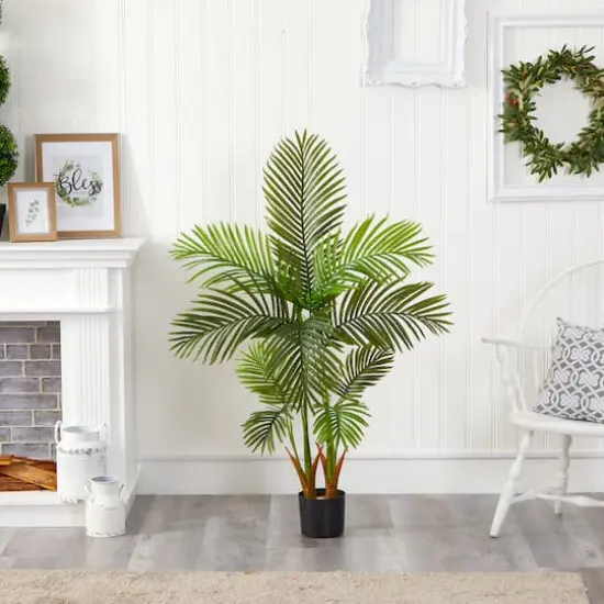 4.5ft. Potted Areca Palm Tree {4}