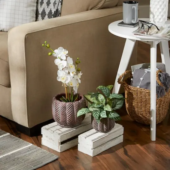 Deco Leaf Cement Flower Pot Set {5}