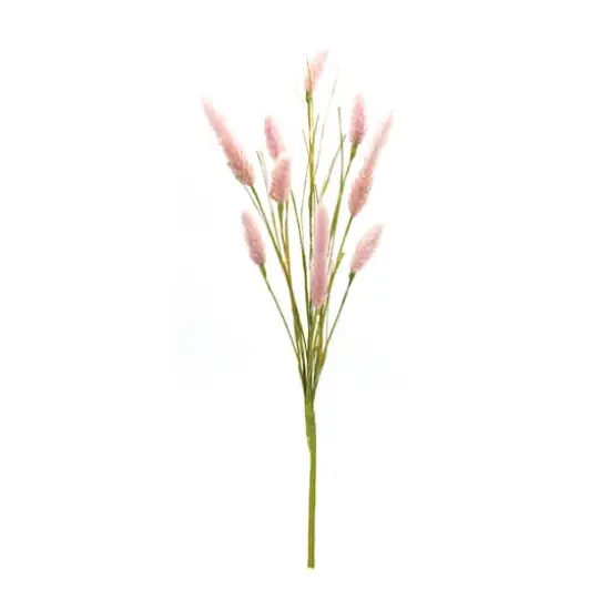 Pink Foxtail Spray, 6ct. {3}
