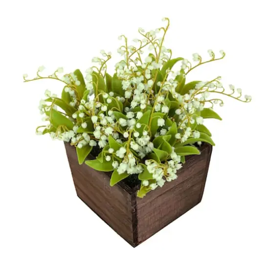 10" Lily-Of-The-Valley Flowers In Wood Box Green {6}