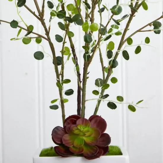 4ft. Night Willow in White Planter {4}