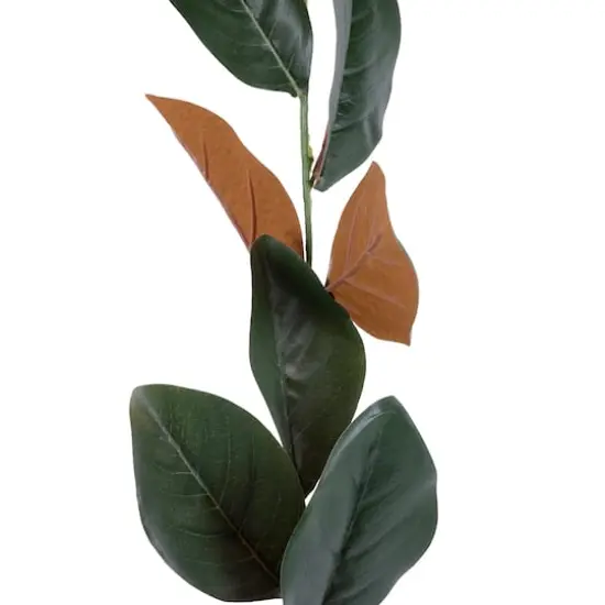 6ft. Magnolia Leaf Garland by Ashland&reg; {1}