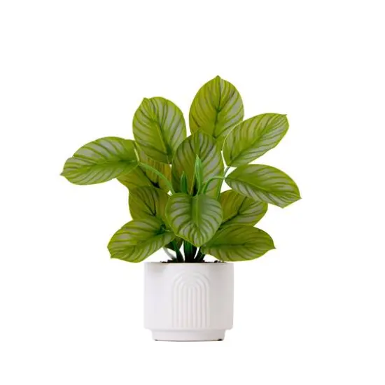 12" Artificial Calathea Plant with Decorative Planter {1}