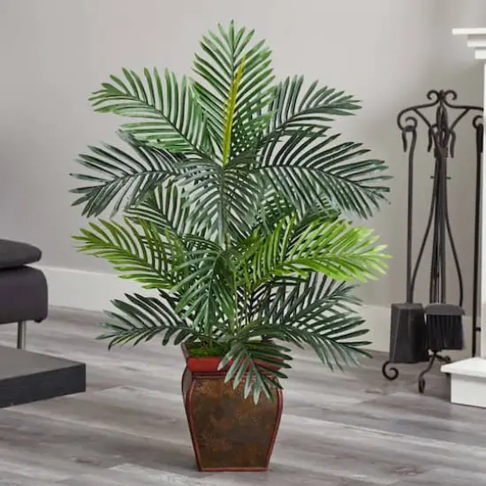 3ft. Paradise Palm Tree with Decorative Planter {4}