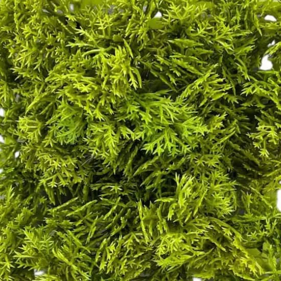 5" Faux Moss Mat by Ashland&reg; {5}