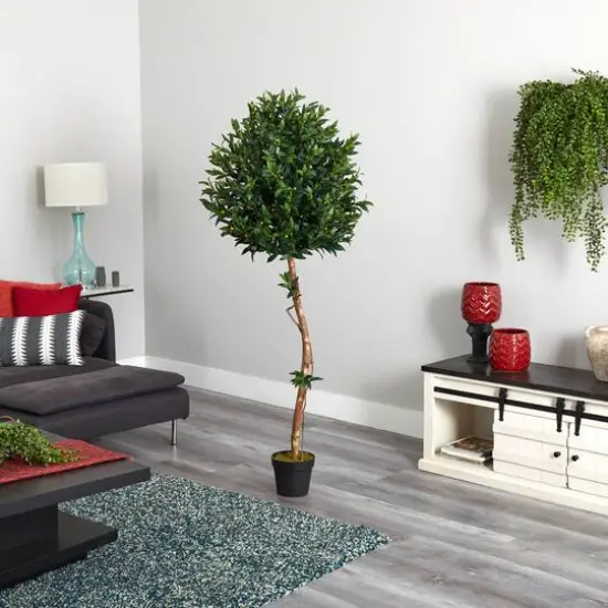 5.5ft. Potted Olive Topiary Tree {6}