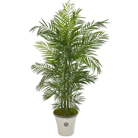 6ft. Areca Palm Tree in White Planter {1}