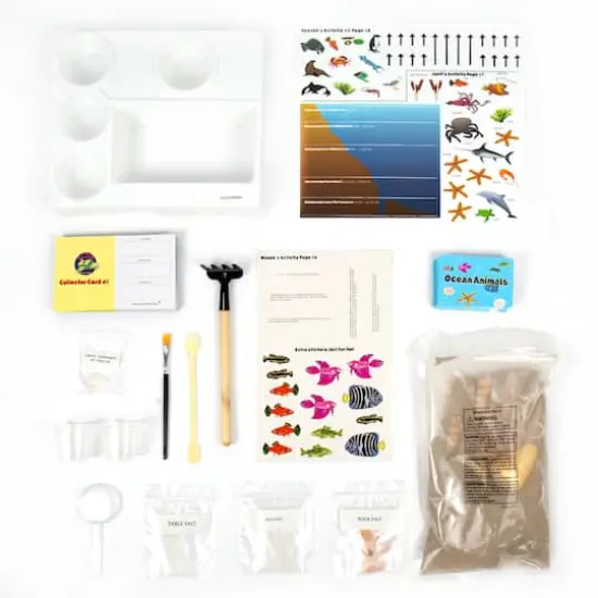 The Young Scientists Club Exploring Oceans Science Kit {6}