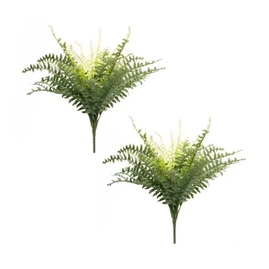 22.5" Mixed Fern Foliage Bushes, 2ct. {3}