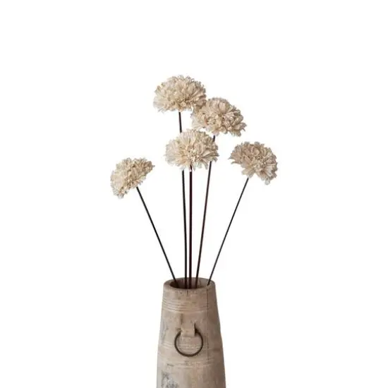 Hello Honey&reg; 23.5" Dried Natural Sesame Flower Stems, 5ct. Cream {4}