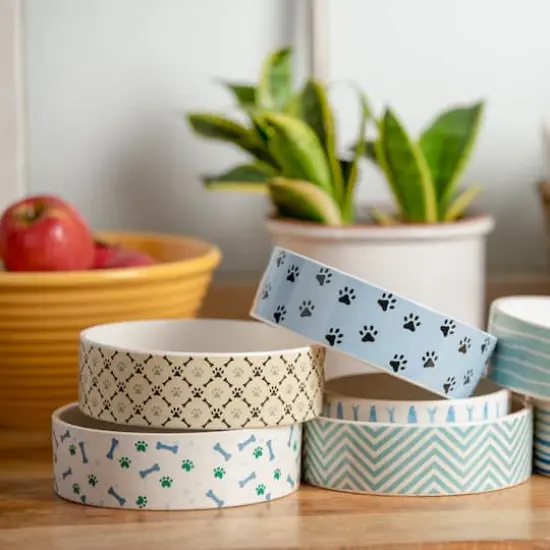 Park Life Designs Talto 5.25" Pet Bowl {4}