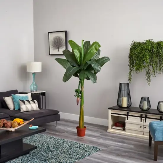 6ft. Potted Banana Tree {6}