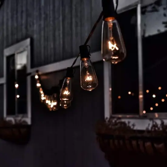 10ct. Clear Edison Glass Patio String Lights with Green Wire {5}