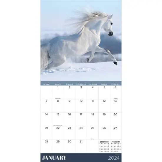 TF Publishing 2024 Horses Wall Calendar {4}