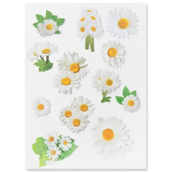 Daisy Die Cut Stickers by Recollections&trade; {3}