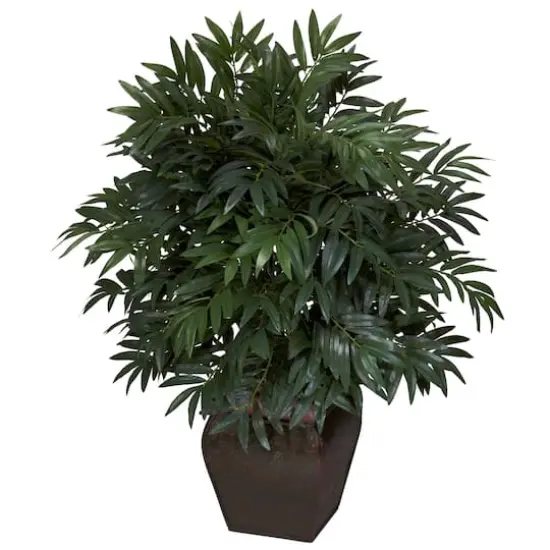 3ft. Double Bamboo Palm with Decorative Planter {1}