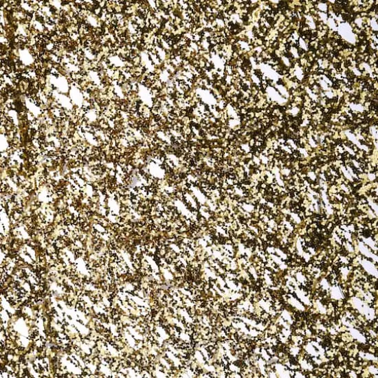 51" Pre-Lit LED Gold & White Trumpeting Angel {4}