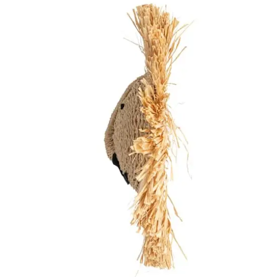 Hello Honey&reg; 16.5" Natural Savannah King Raffia Lion Wall Art {10}