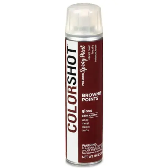 COLORSHOT&reg; Premium Gloss Spray Paint Brownie Points {1}