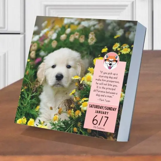TF Publishing 2024 Dog A Day Daily Desktop Calendar {4}