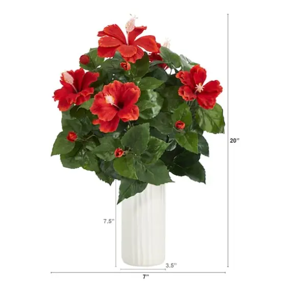 20" Hibiscus Plant in White Planter {3}