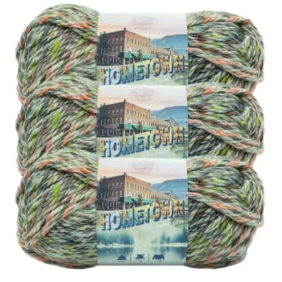 3 Pack Lion Brand&reg; Hometown Variegates Yarn Durham Woods {1}